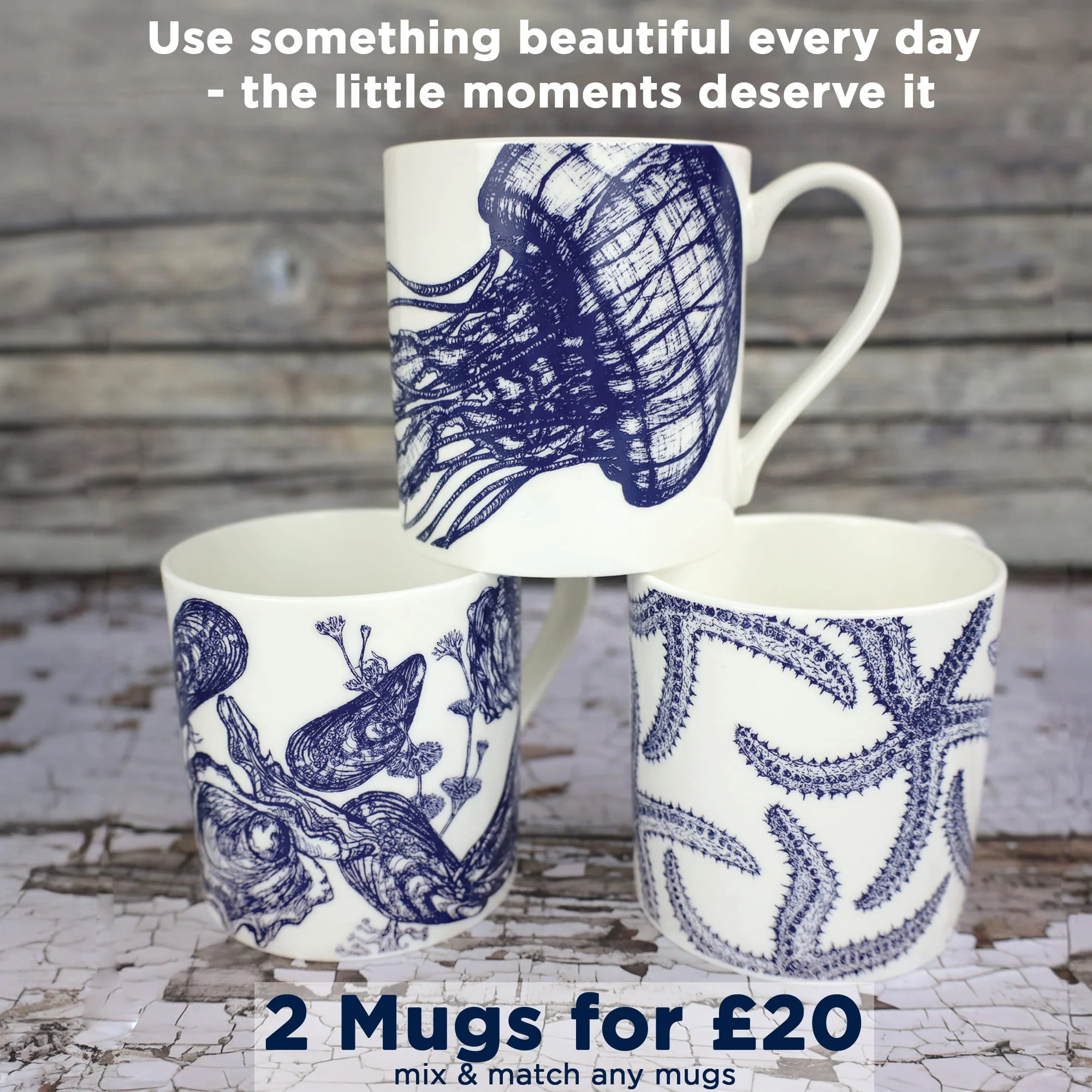 Bone China Mussel & Oyster Mug - Image 4