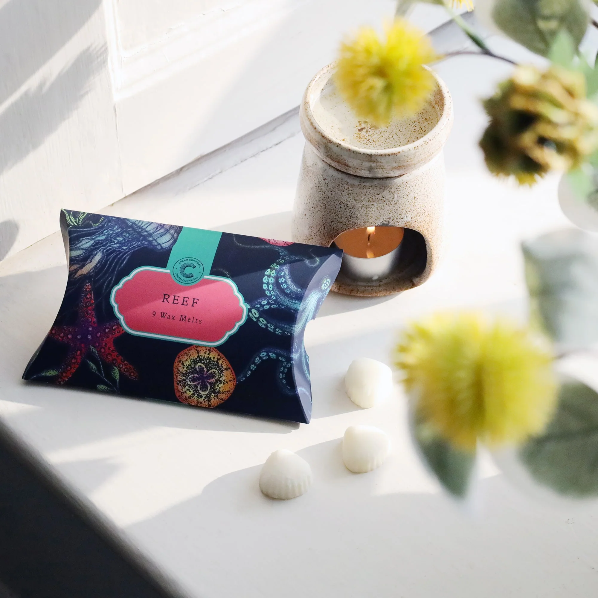 Box Of Nine Reef Wax Melts - Image 3