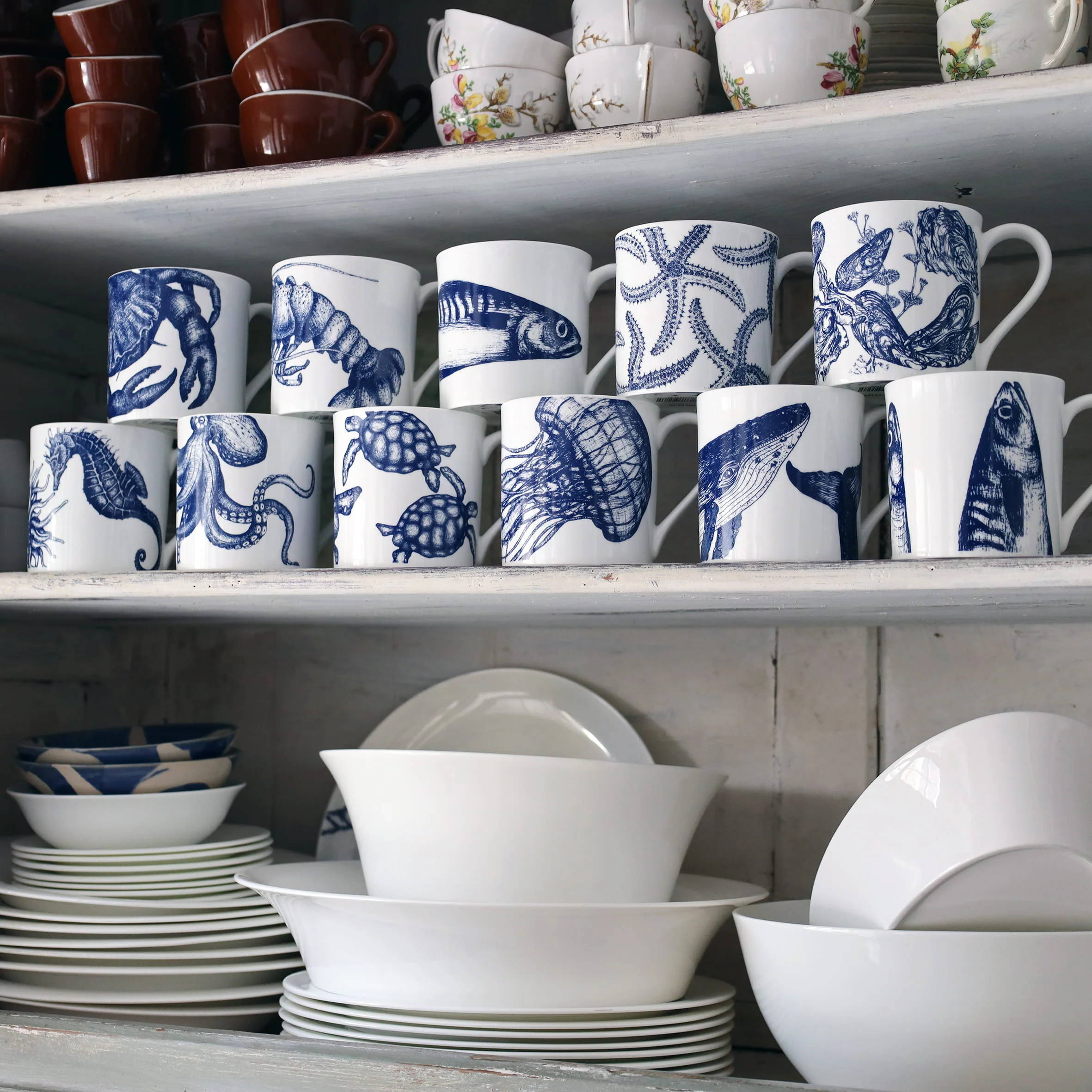 Bone China Seahorse Mug - Image 5