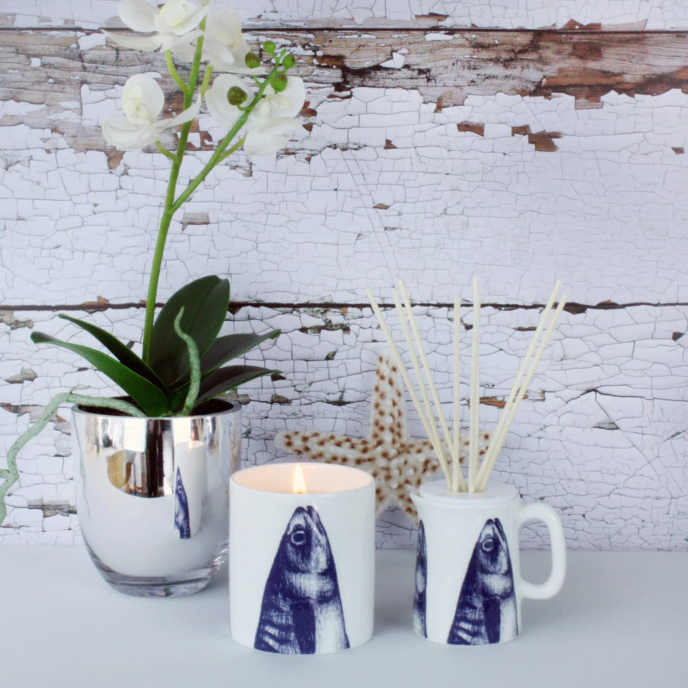 Stargazey Reed Diffuser - Image 4