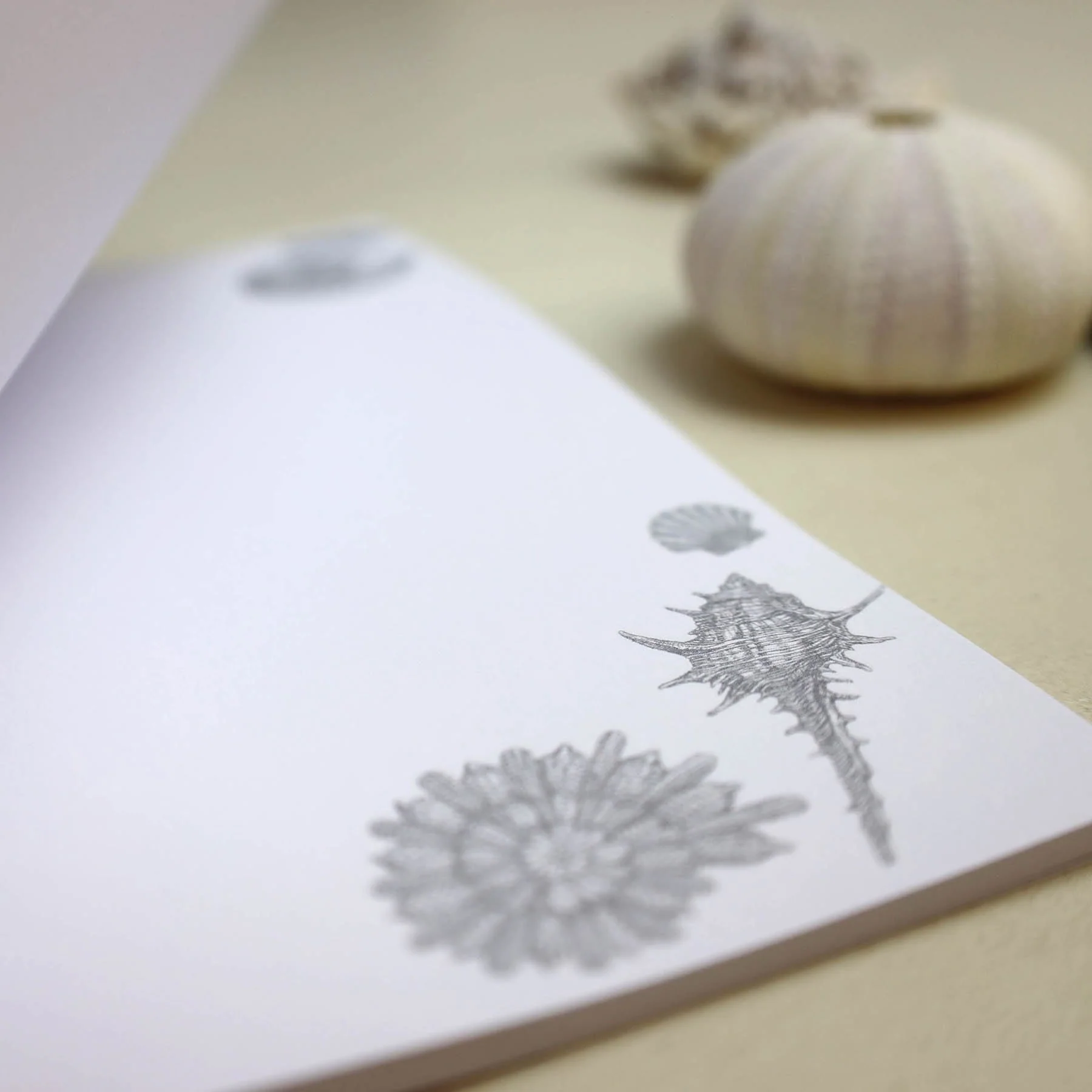Shell Seeker Notebook - Image 3