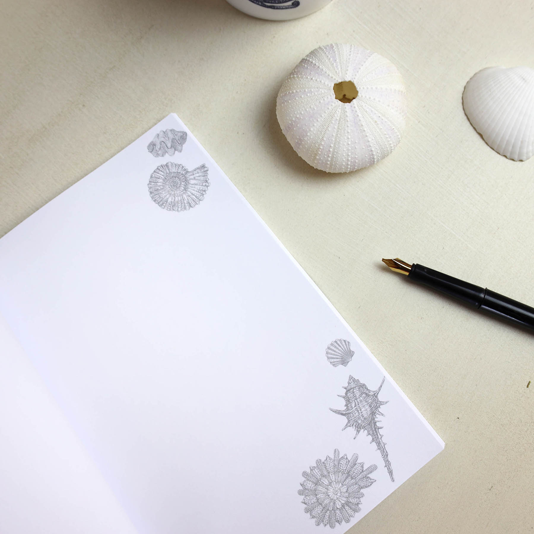 Shell Seeker Notebook - Image 4